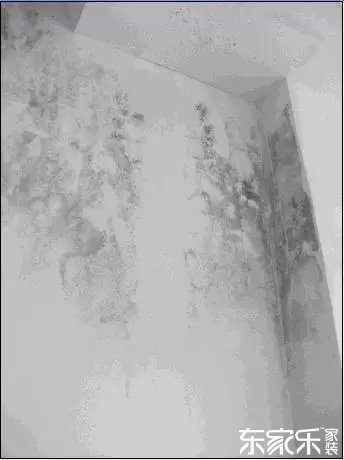 墻面發(fā)霉發(fā)黑怎么辦？墻面已經(jīng)出現(xiàn)霉斑時(shí)怎么做？