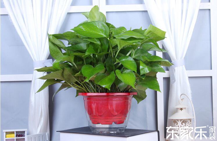 剛裝修完的房子里含有哪些有害物質(zhì)？哪些方法可以去除？